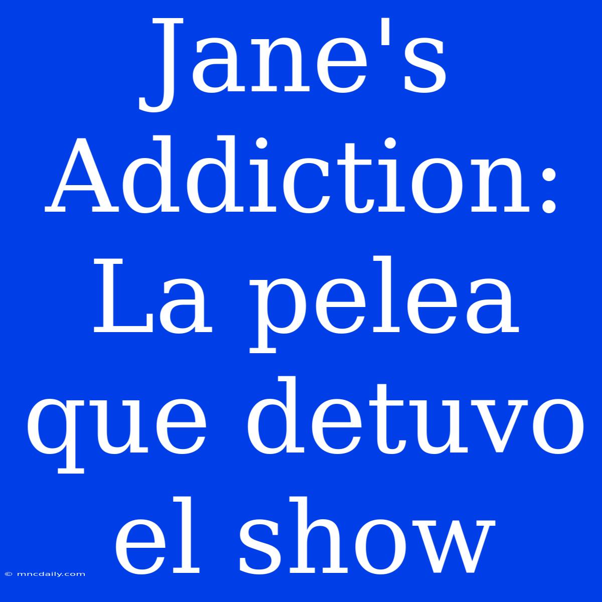 Jane's Addiction: La Pelea Que Detuvo El Show