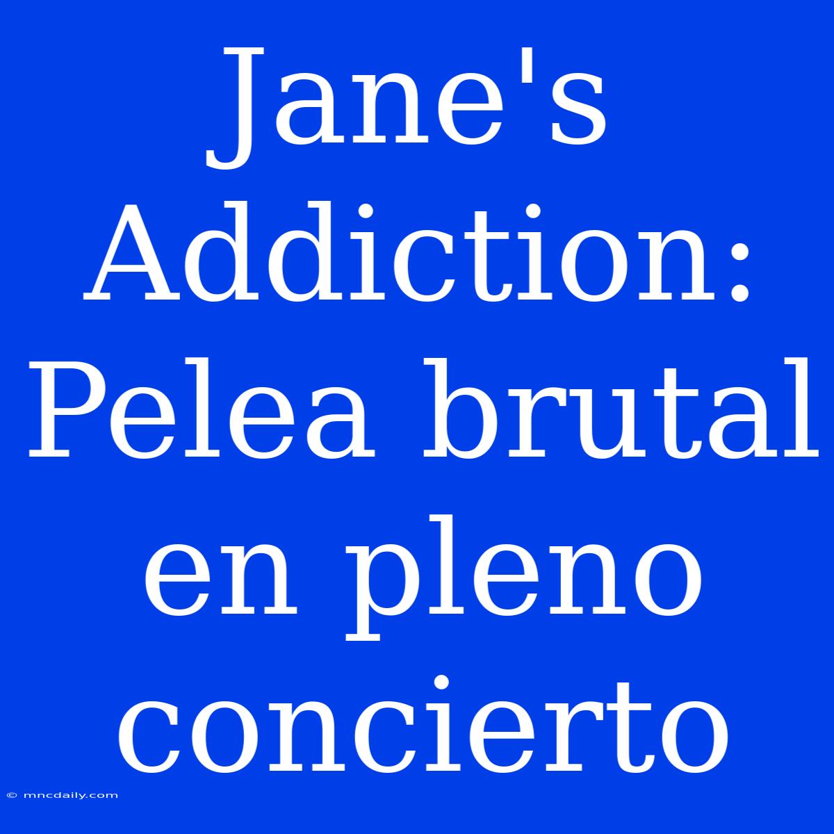 Jane's Addiction: Pelea Brutal En Pleno Concierto