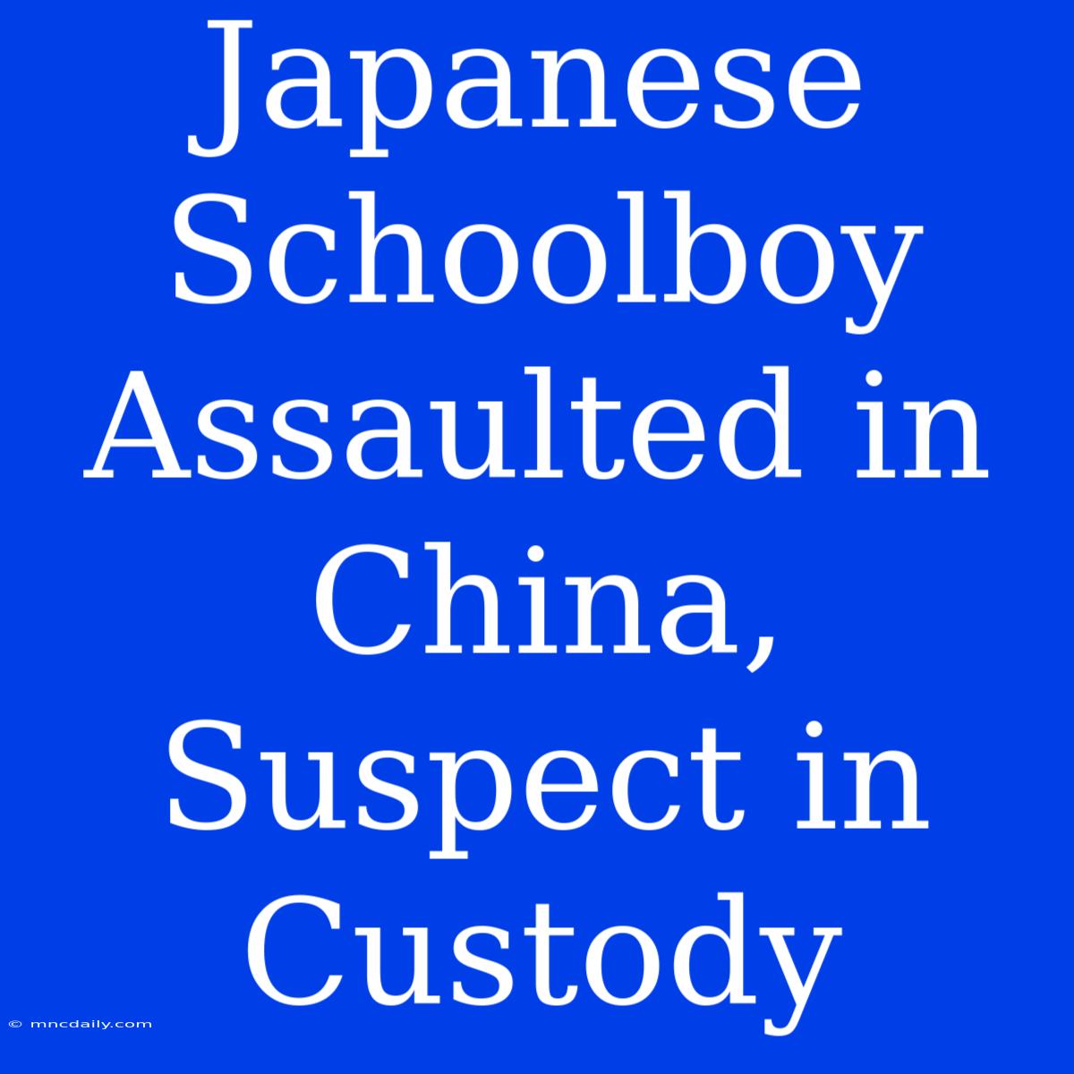 Japanese Schoolboy Assaulted In China, Suspect In Custody