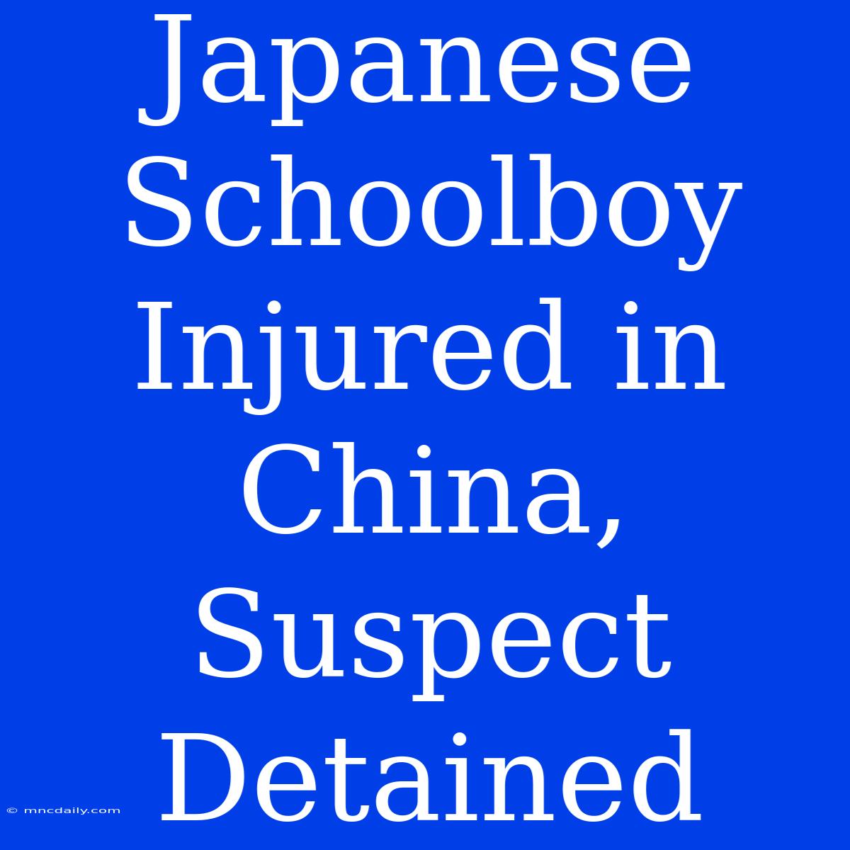 Japanese Schoolboy Injured In China, Suspect Detained