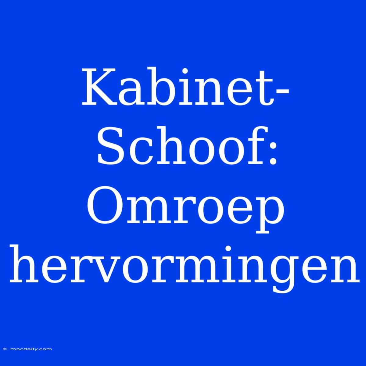 Kabinet-Schoof: Omroep Hervormingen