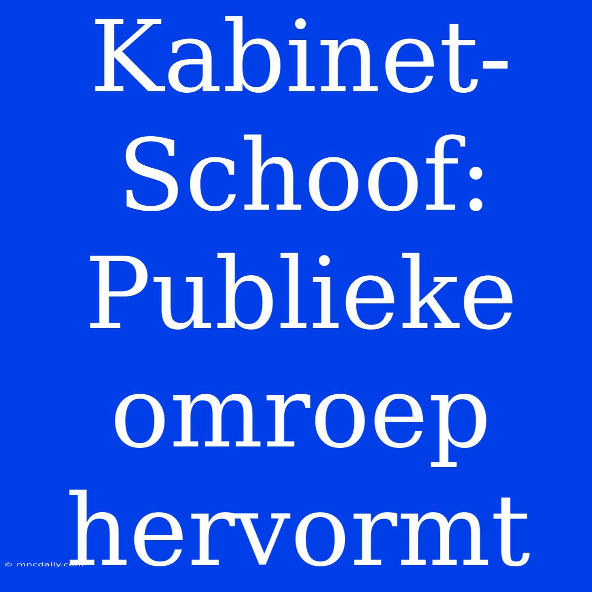 Kabinet-Schoof: Publieke Omroep Hervormt 