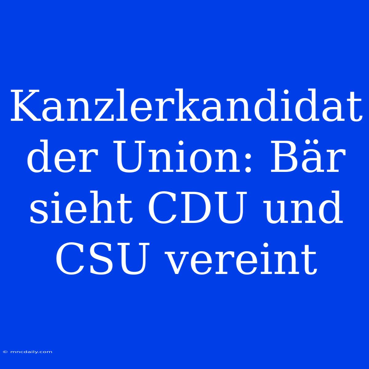 Kanzlerkandidat Der Union: Bär Sieht CDU Und CSU Vereint