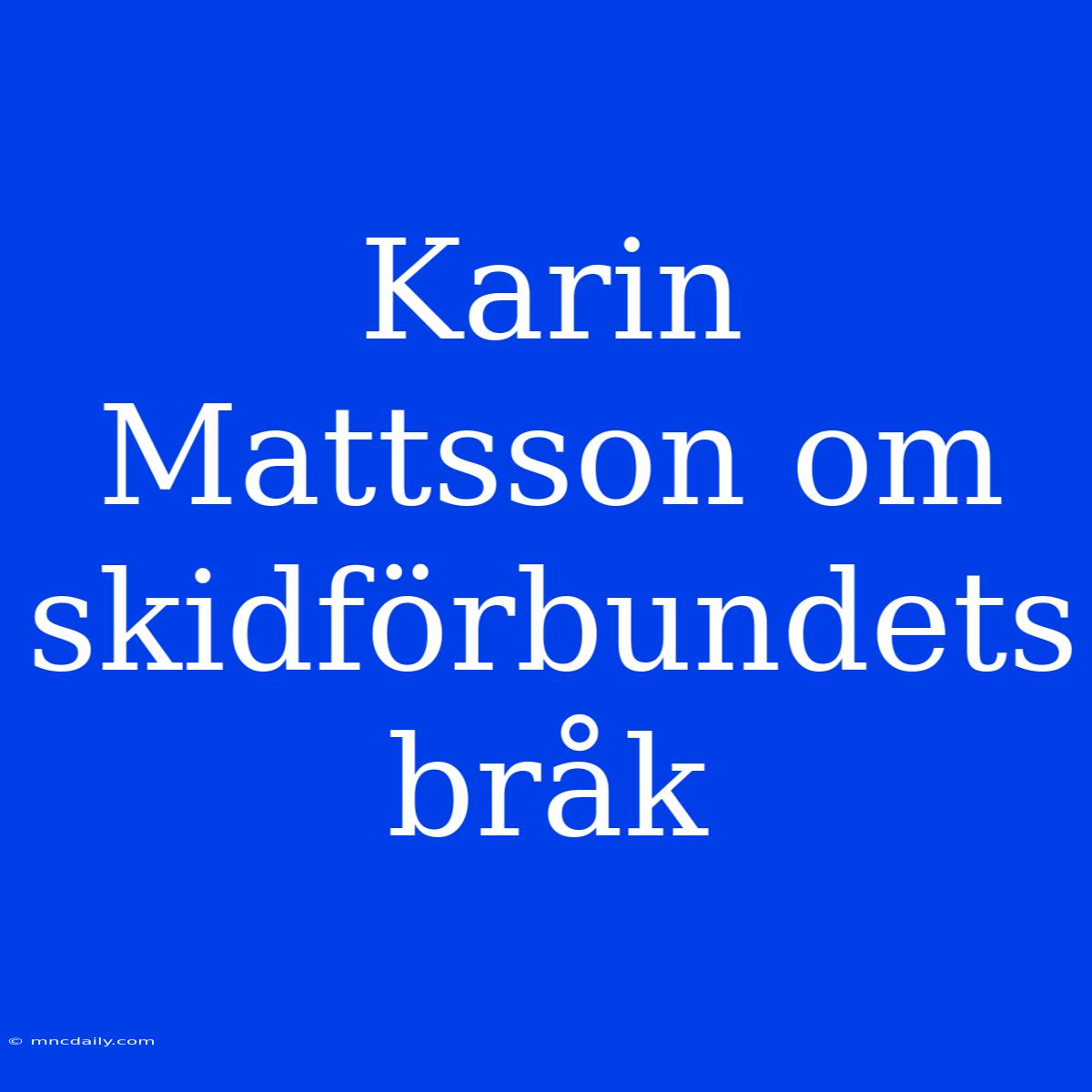 Karin Mattsson Om Skidförbundets Bråk