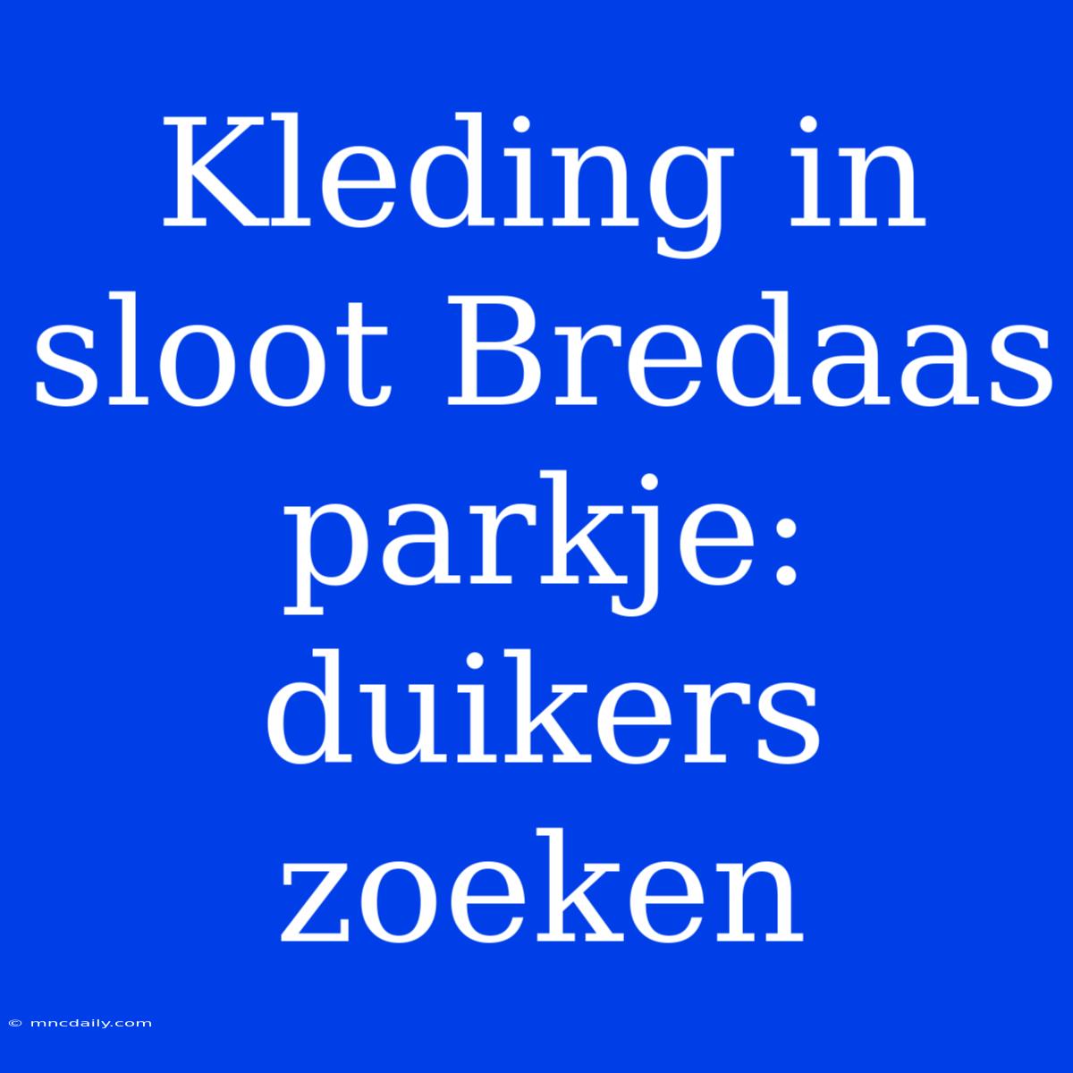 Kleding In Sloot Bredaas Parkje: Duikers Zoeken