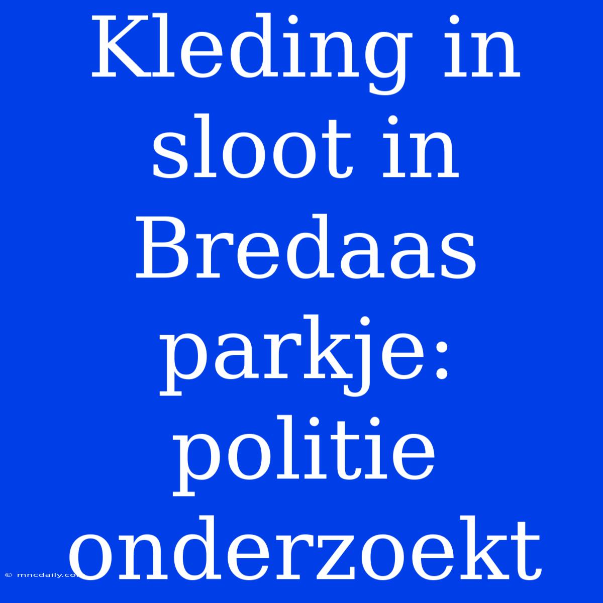 Kleding In Sloot In Bredaas Parkje: Politie Onderzoekt