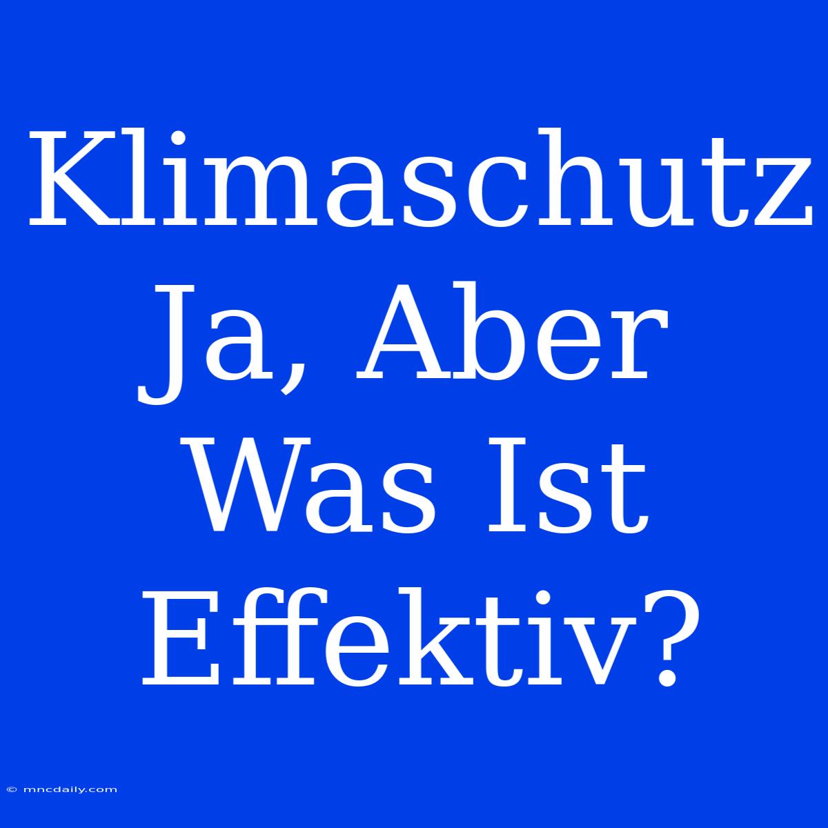 Klimaschutz Ja, Aber Was Ist Effektiv?