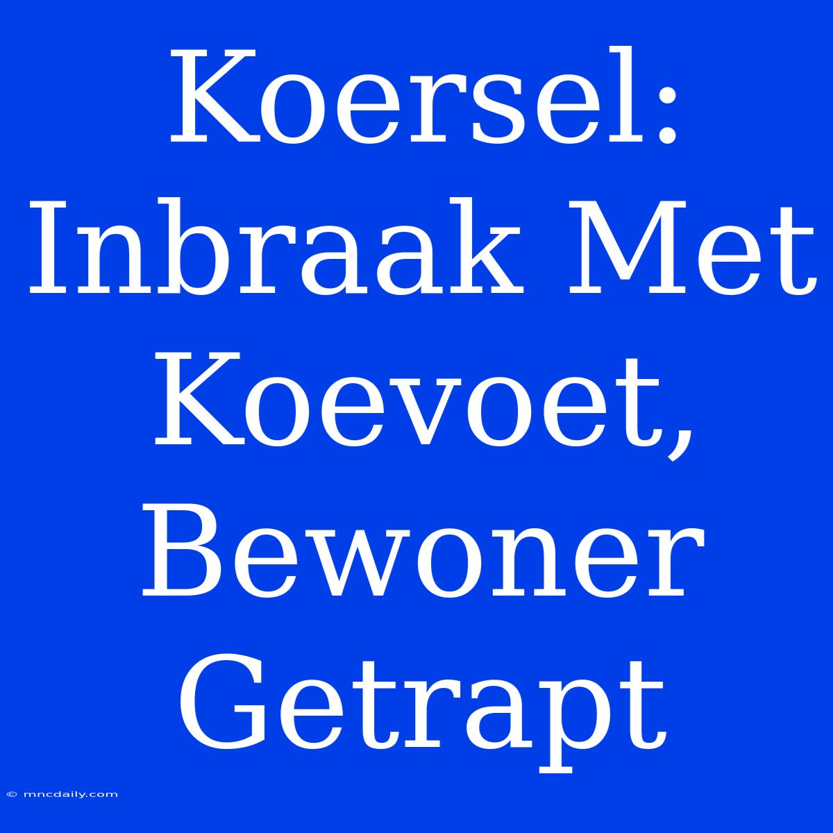 Koersel: Inbraak Met Koevoet, Bewoner Getrapt