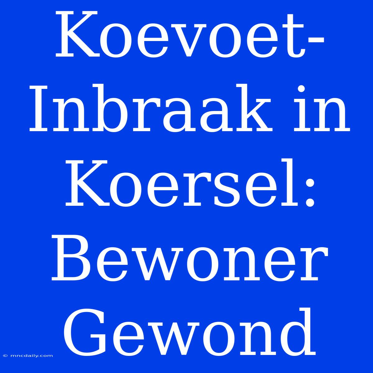 Koevoet-Inbraak In Koersel: Bewoner Gewond