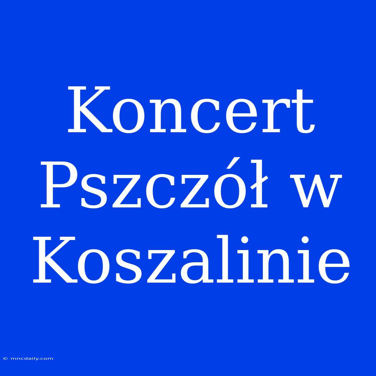 Koncert Pszczół W Koszalinie