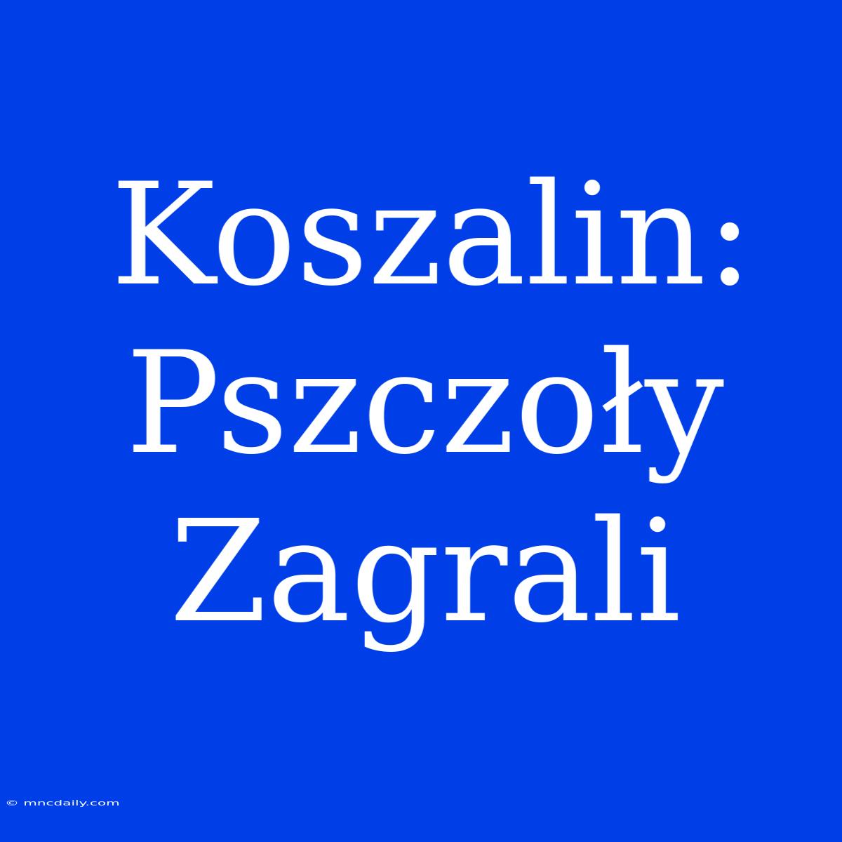 Koszalin: Pszczoły Zagrali