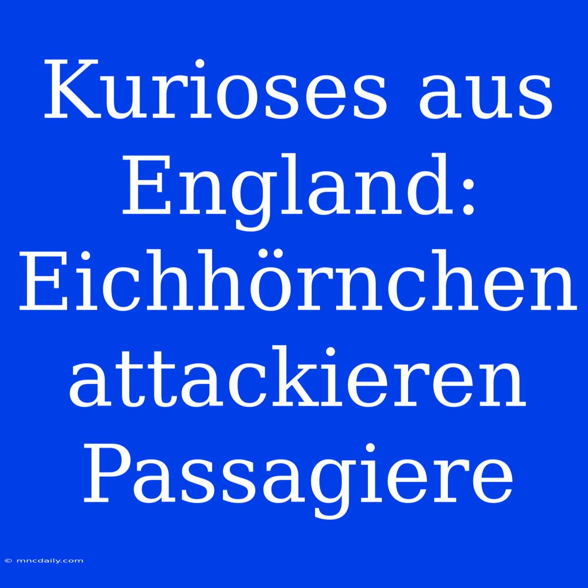 Kurioses Aus England: Eichhörnchen Attackieren Passagiere