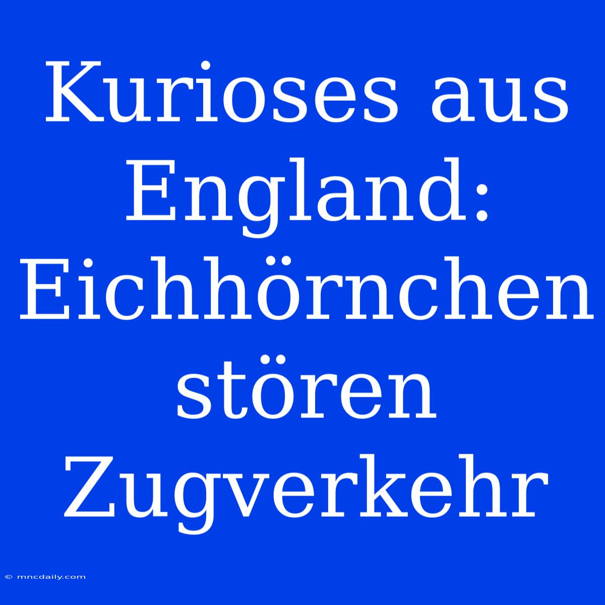 Kurioses Aus England: Eichhörnchen Stören Zugverkehr