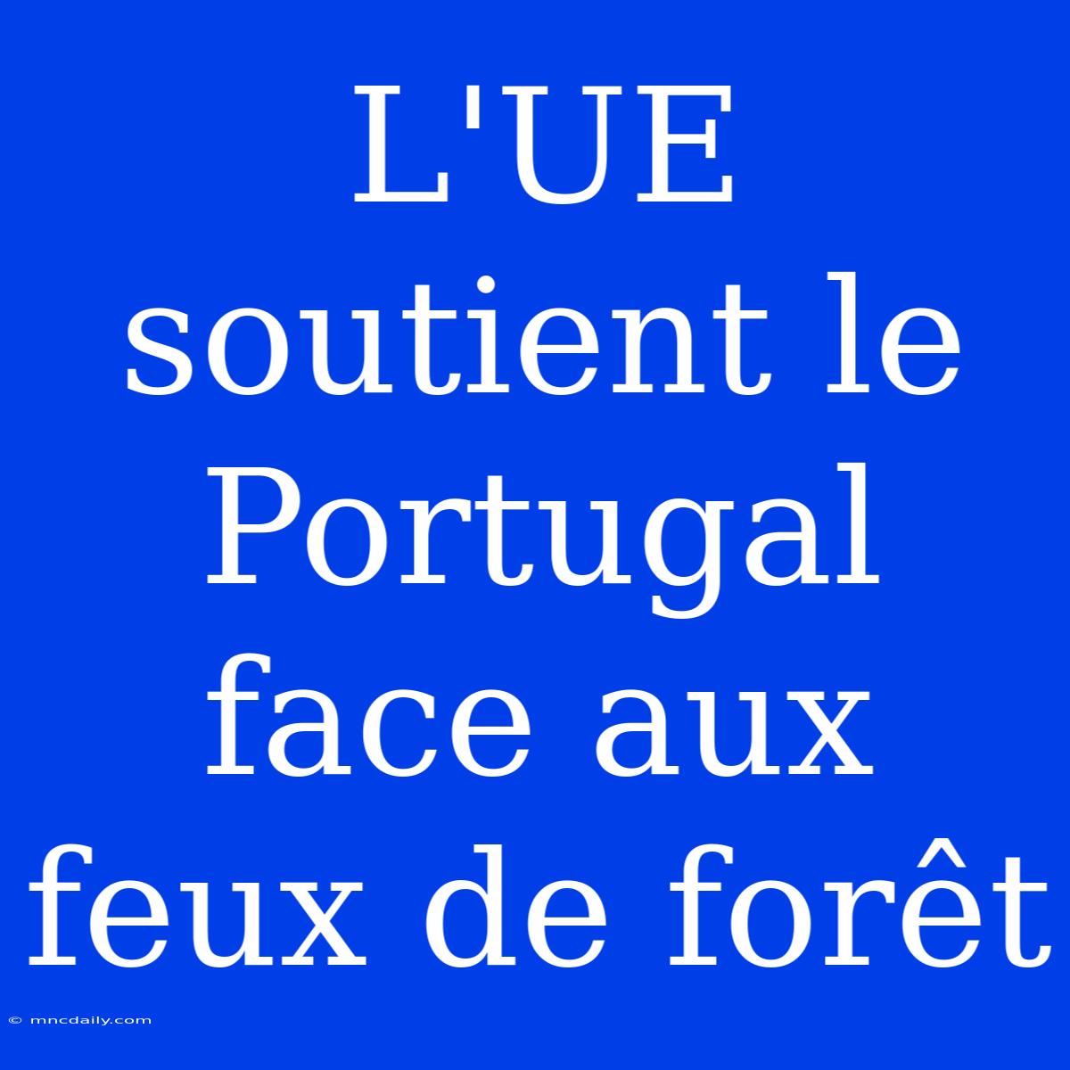 L'UE Soutient Le Portugal Face Aux Feux De Forêt