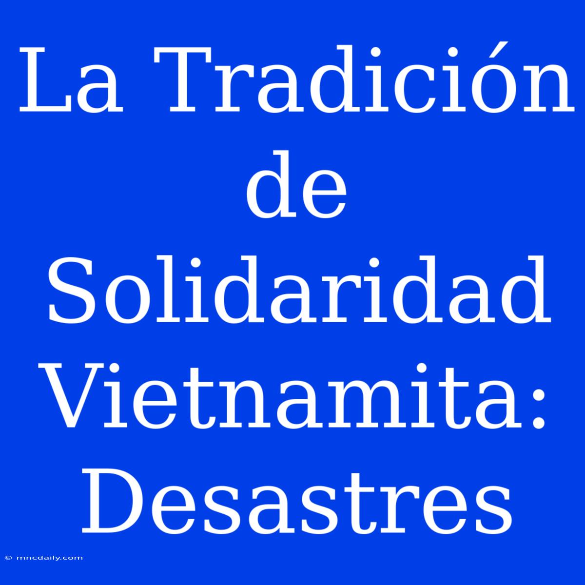 La Tradición De Solidaridad Vietnamita: Desastres