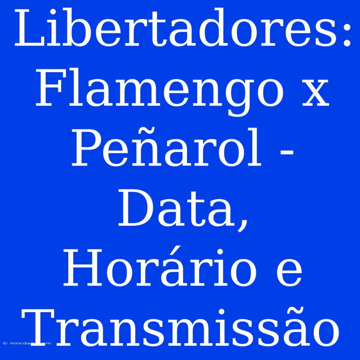 Libertadores: Flamengo X Peñarol - Data, Horário E Transmissão