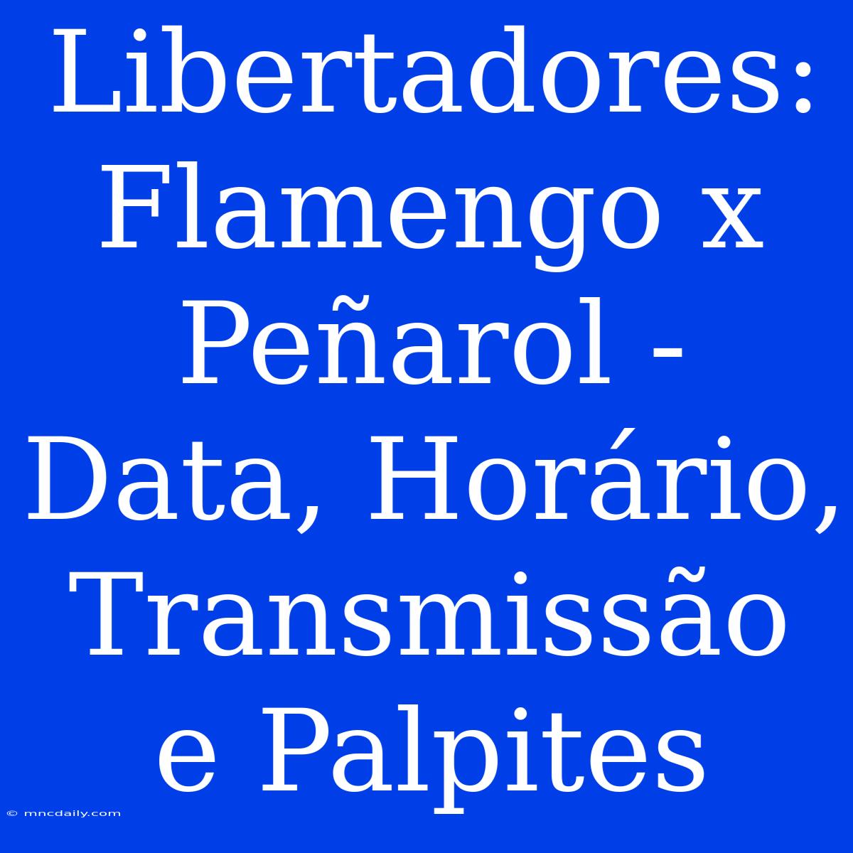 Libertadores: Flamengo X Peñarol - Data, Horário, Transmissão E Palpites