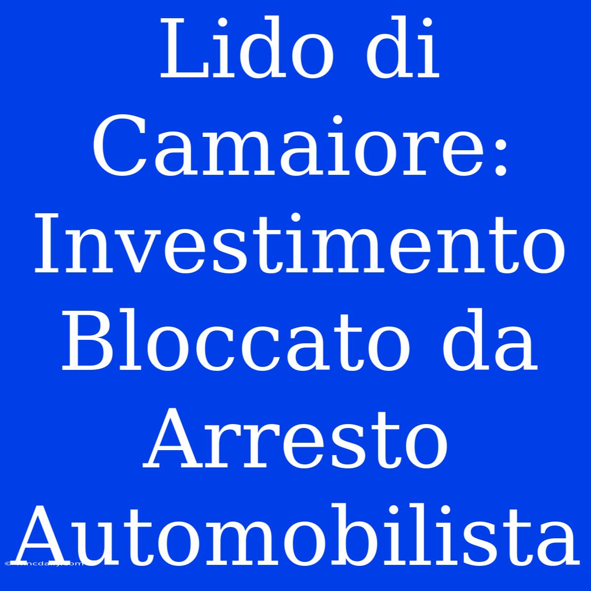 Lido Di Camaiore: Investimento Bloccato Da Arresto Automobilista