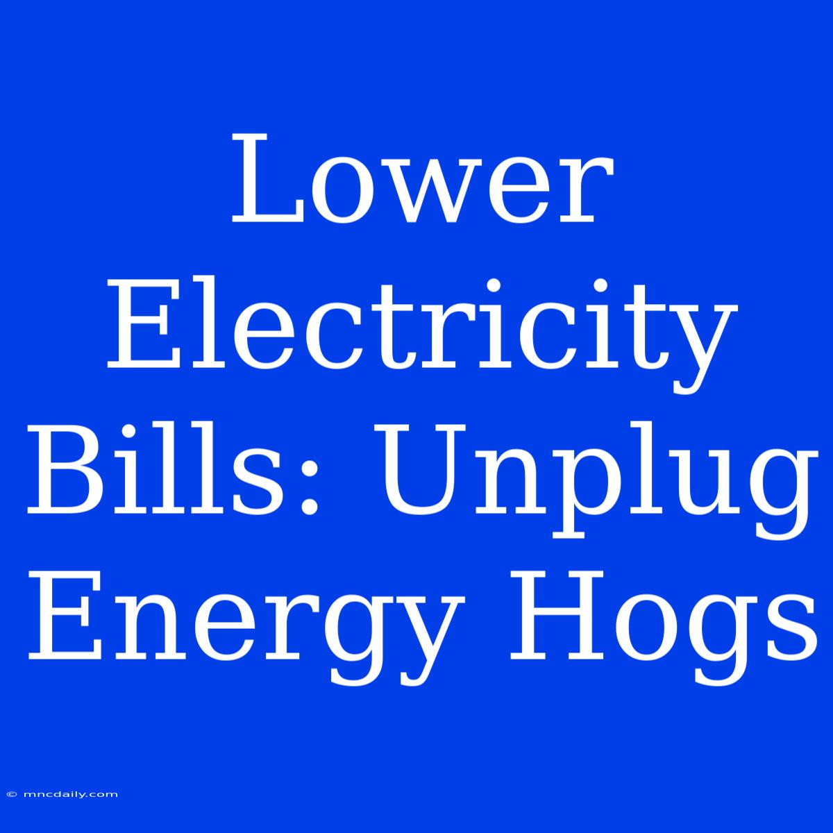 Lower Electricity Bills: Unplug Energy Hogs