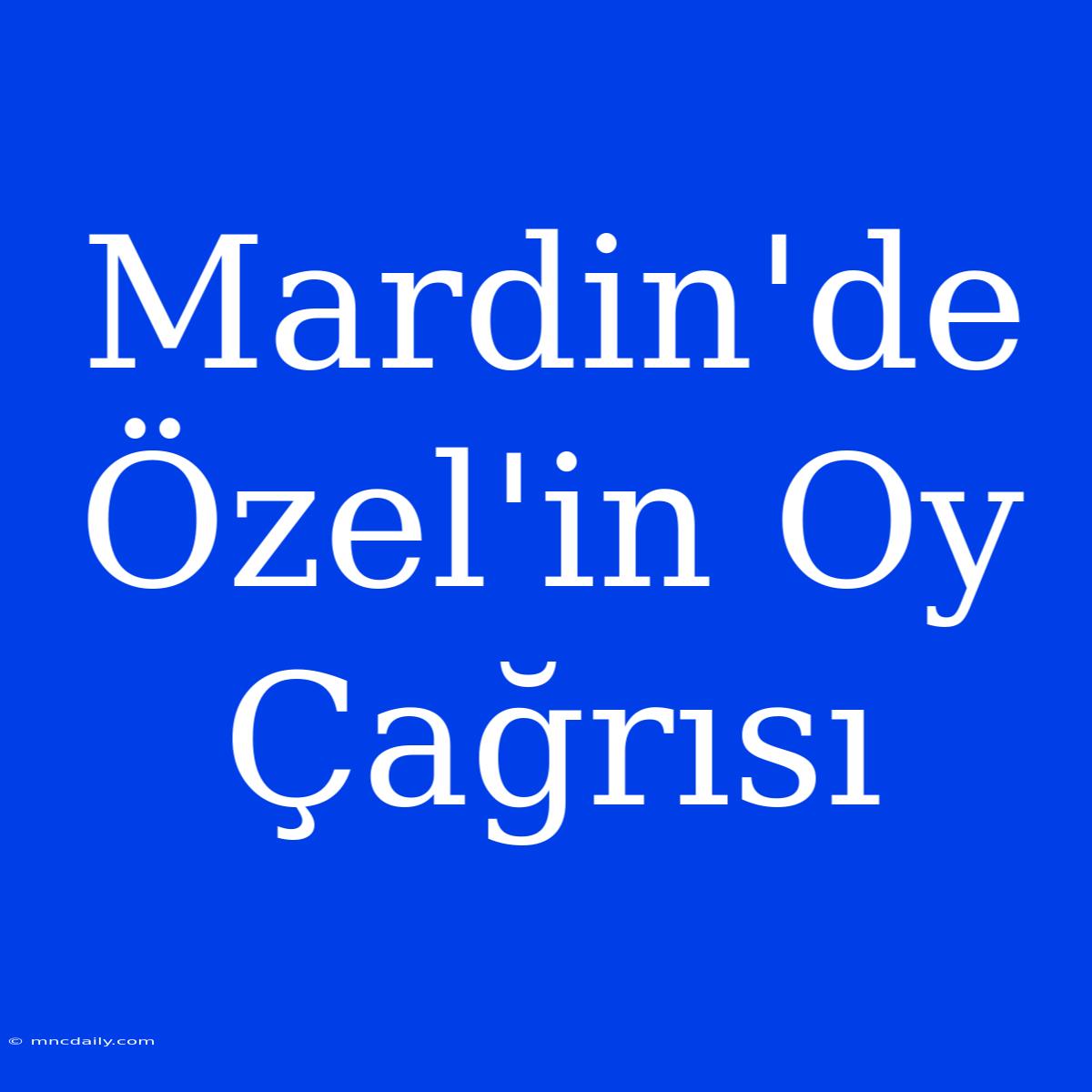 Mardin'de Özel'in Oy Çağrısı 