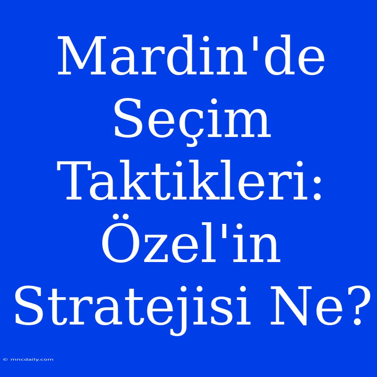 Mardin'de Seçim Taktikleri: Özel'in Stratejisi Ne?