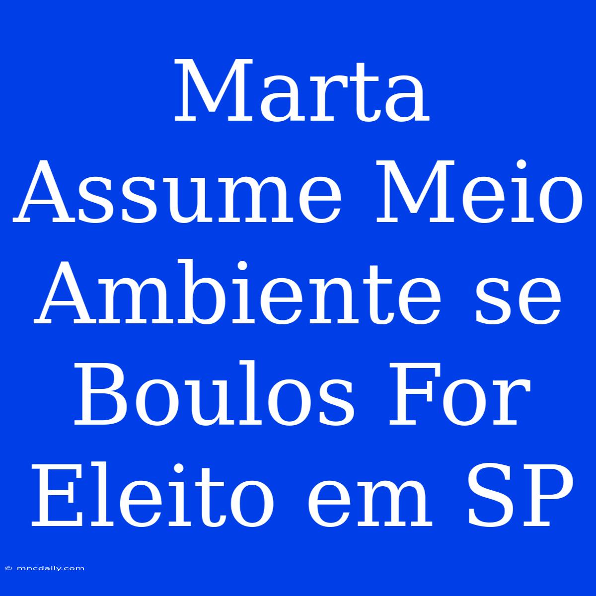 Marta Assume Meio Ambiente Se Boulos For Eleito Em SP