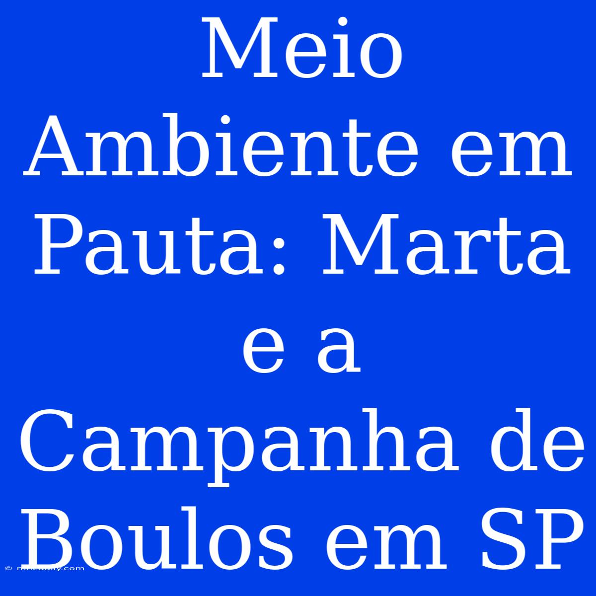 Meio Ambiente Em Pauta: Marta E A Campanha De Boulos Em SP