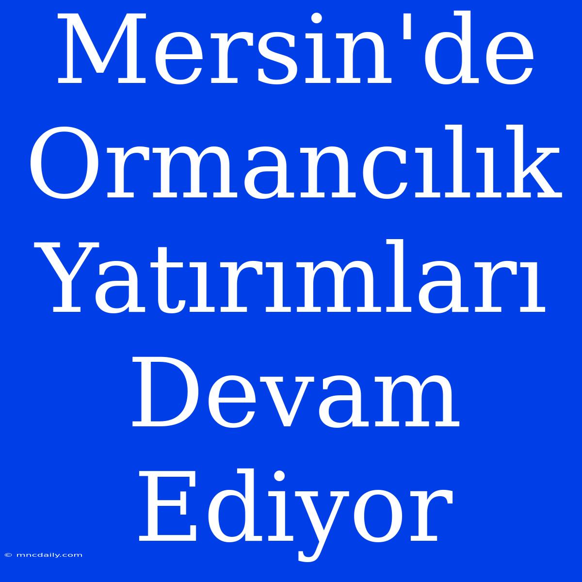 Mersin'de Ormancılık Yatırımları Devam Ediyor