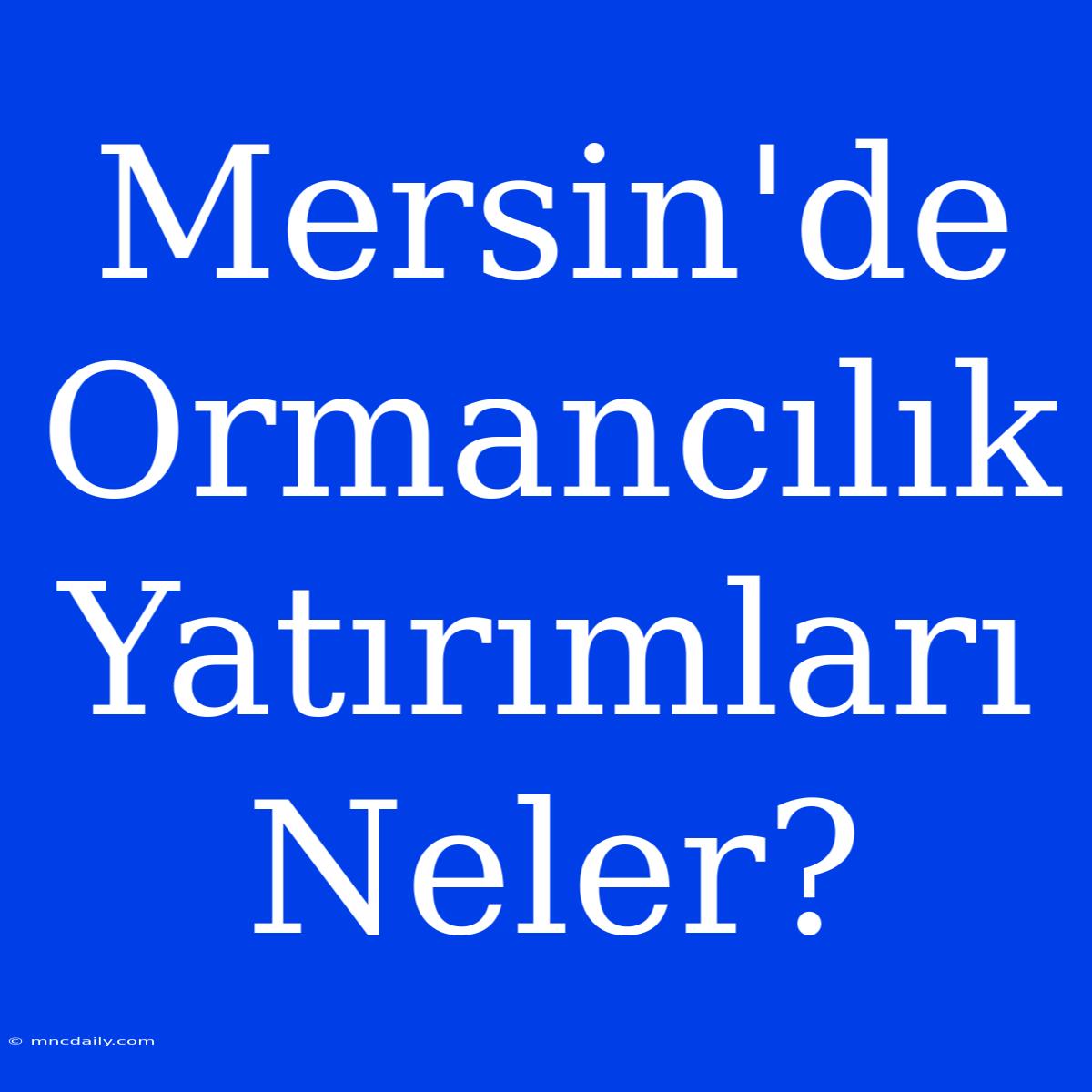 Mersin'de Ormancılık Yatırımları Neler?