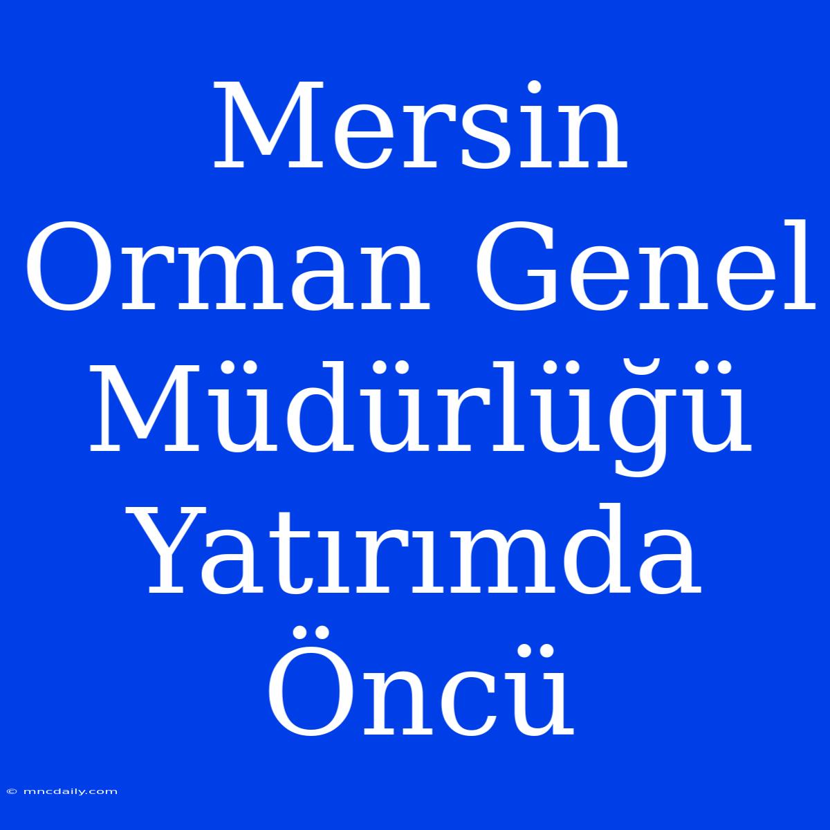 Mersin Orman Genel Müdürlüğü Yatırımda Öncü