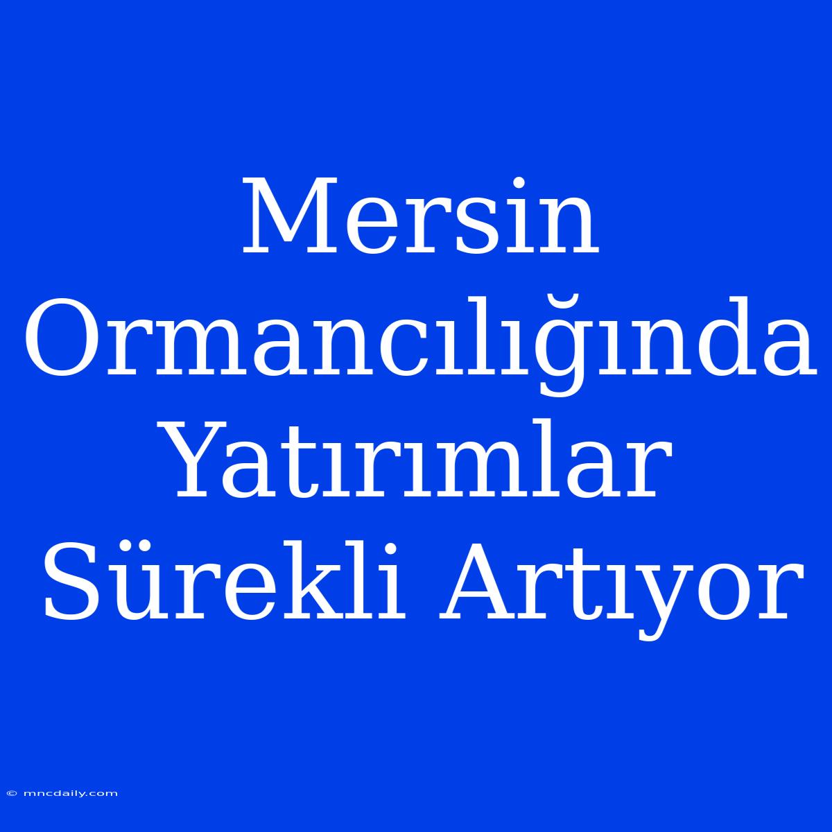 Mersin Ormancılığında Yatırımlar Sürekli Artıyor