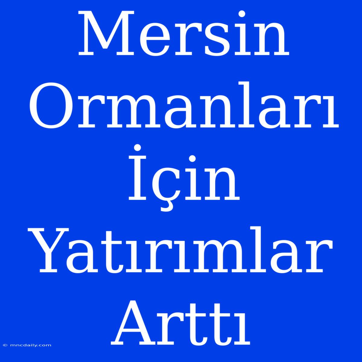 Mersin Ormanları İçin Yatırımlar Arttı