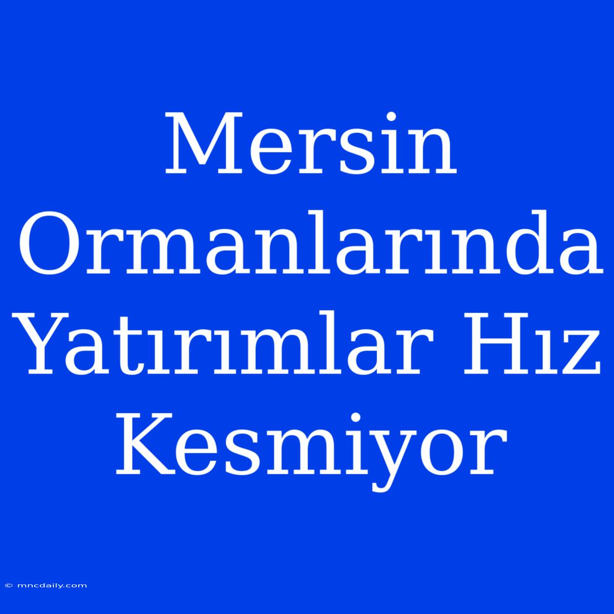 Mersin Ormanlarında Yatırımlar Hız Kesmiyor