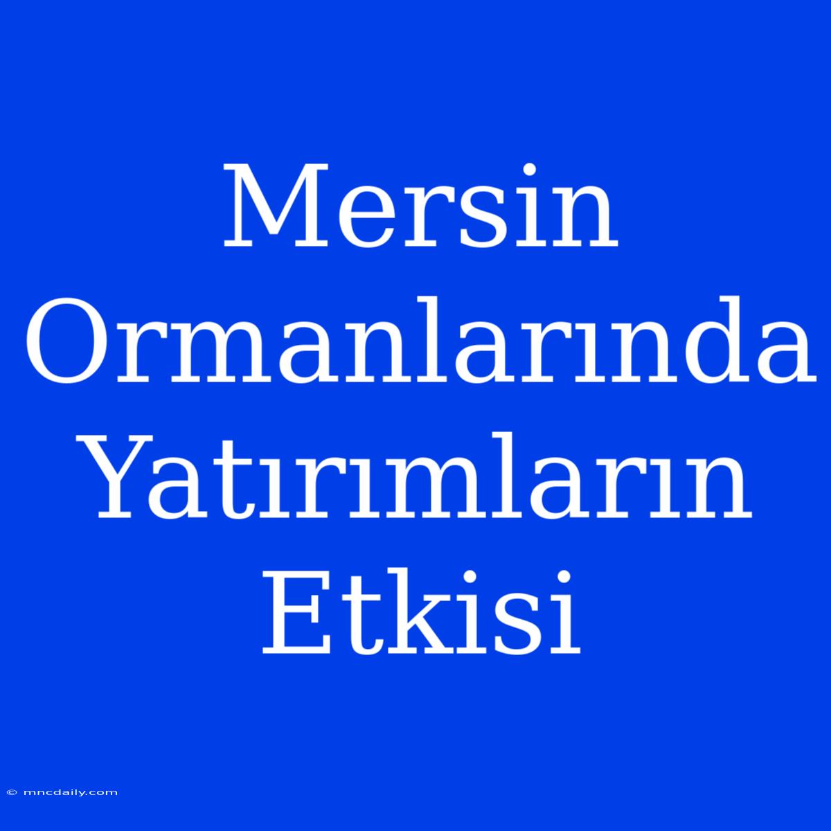 Mersin Ormanlarında Yatırımların Etkisi