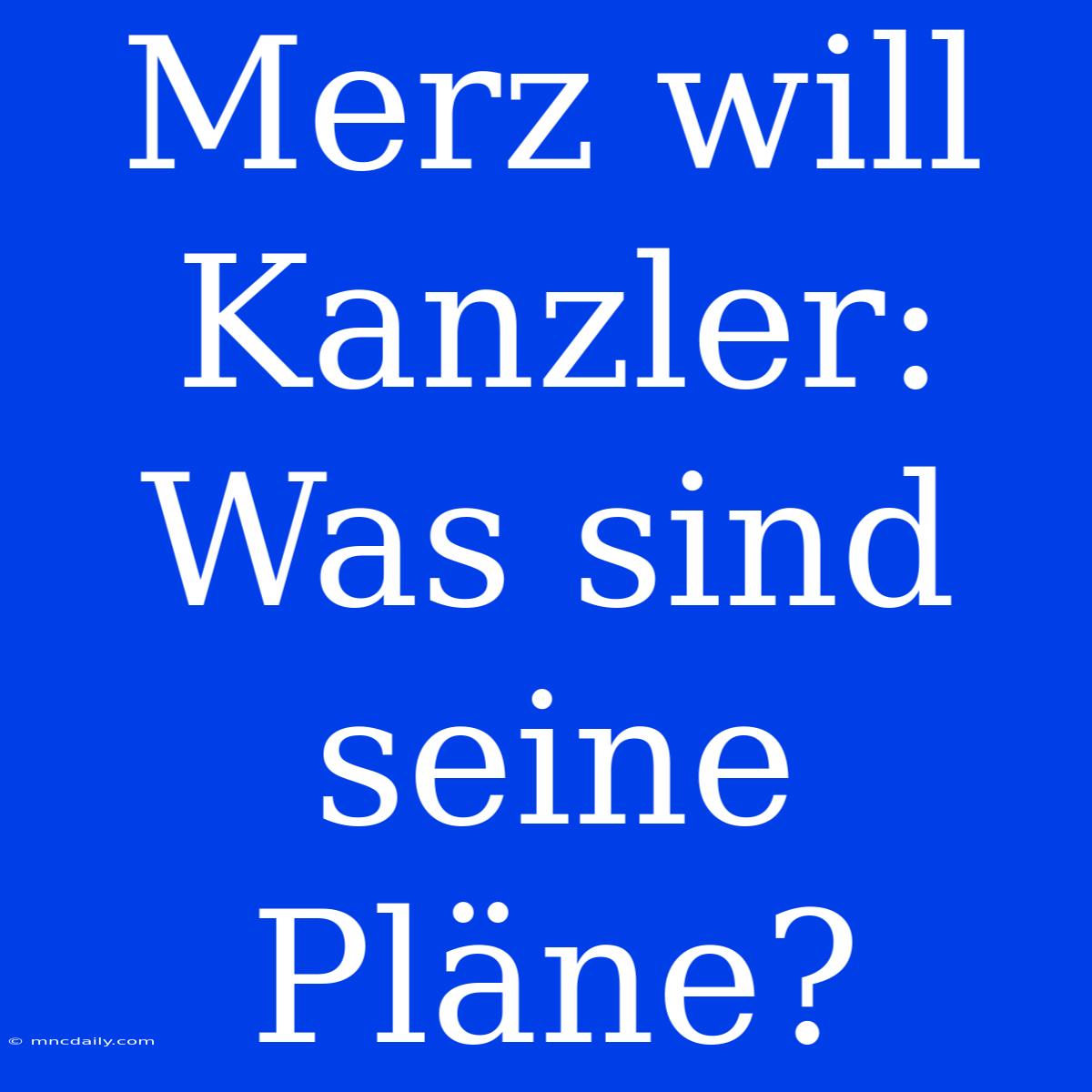 Merz Will Kanzler: Was Sind Seine Pläne?