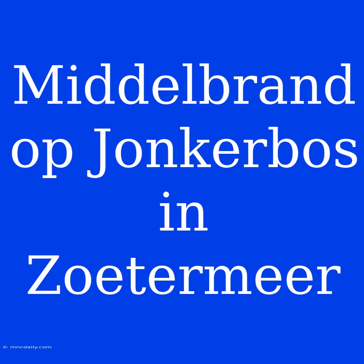 Middelbrand Op Jonkerbos In Zoetermeer