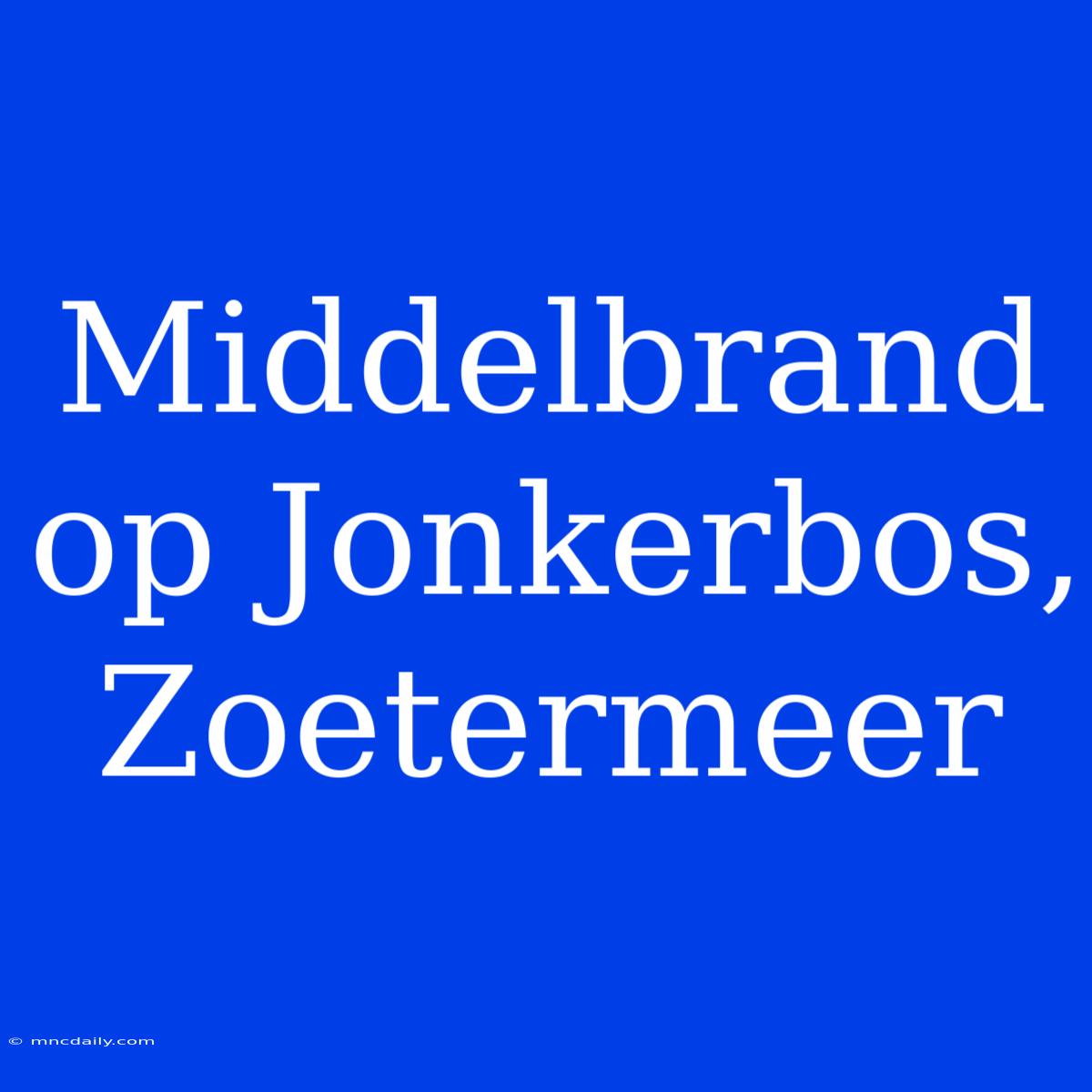 Middelbrand Op Jonkerbos, Zoetermeer