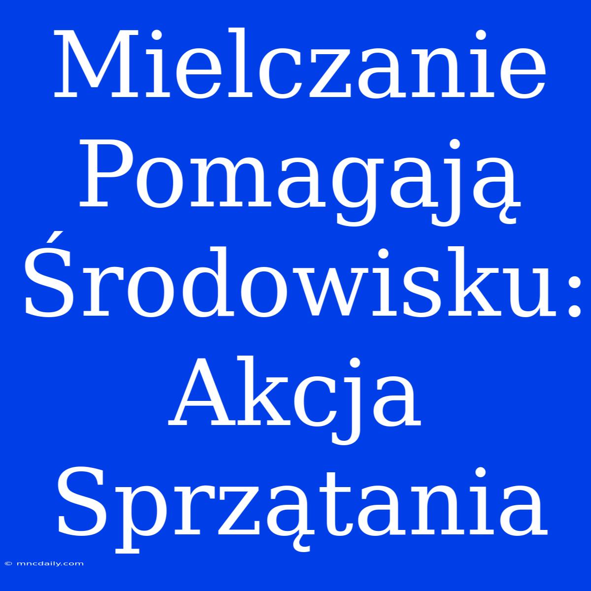 Mielczanie Pomagają Środowisku: Akcja Sprzątania