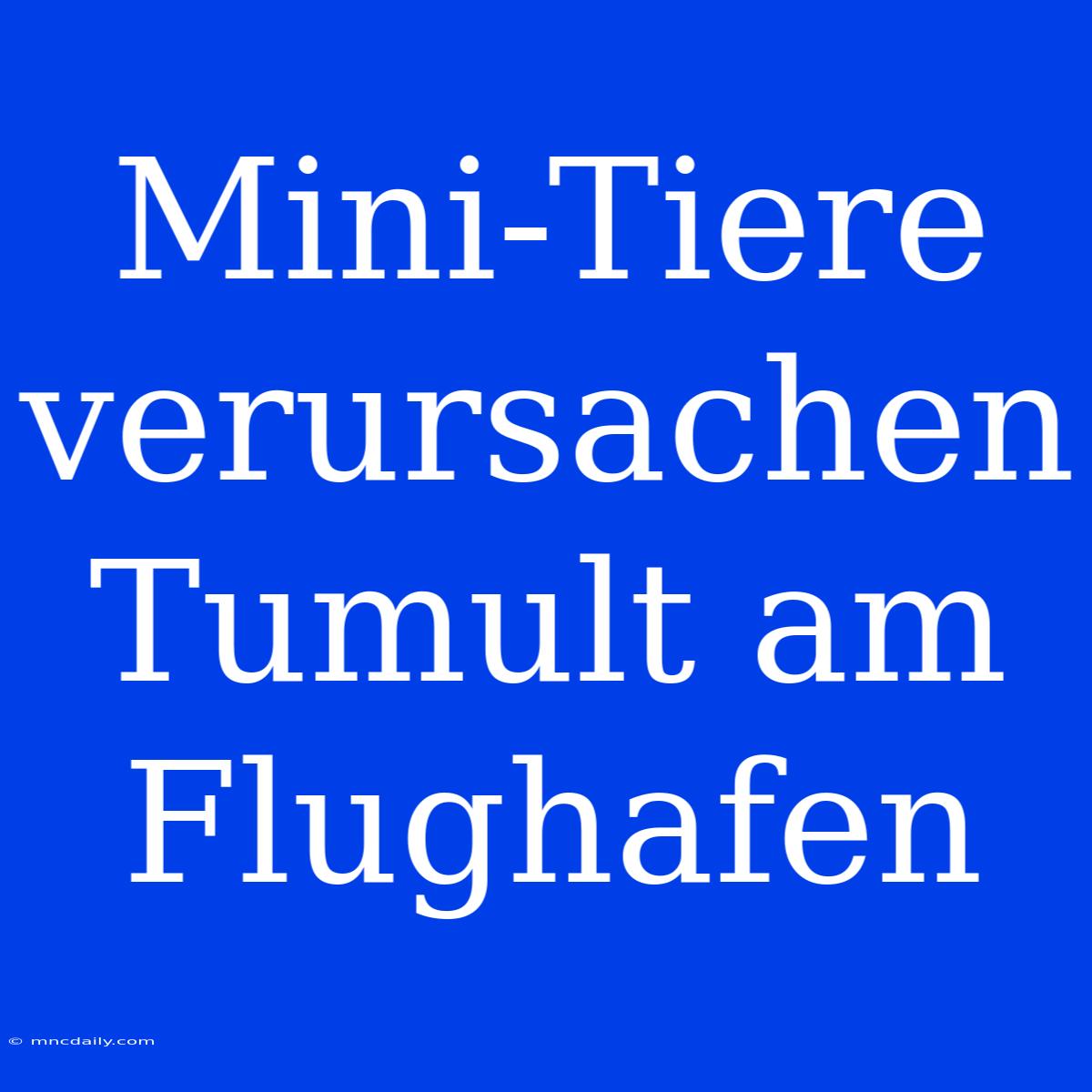 Mini-Tiere Verursachen Tumult Am Flughafen