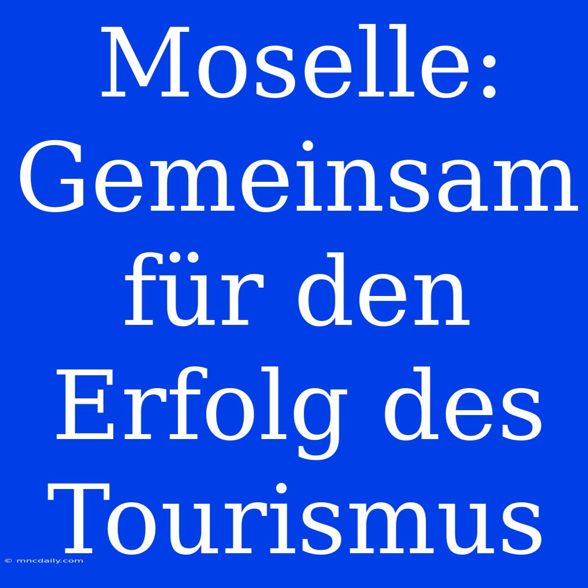 Moselle: Gemeinsam Für Den Erfolg Des Tourismus