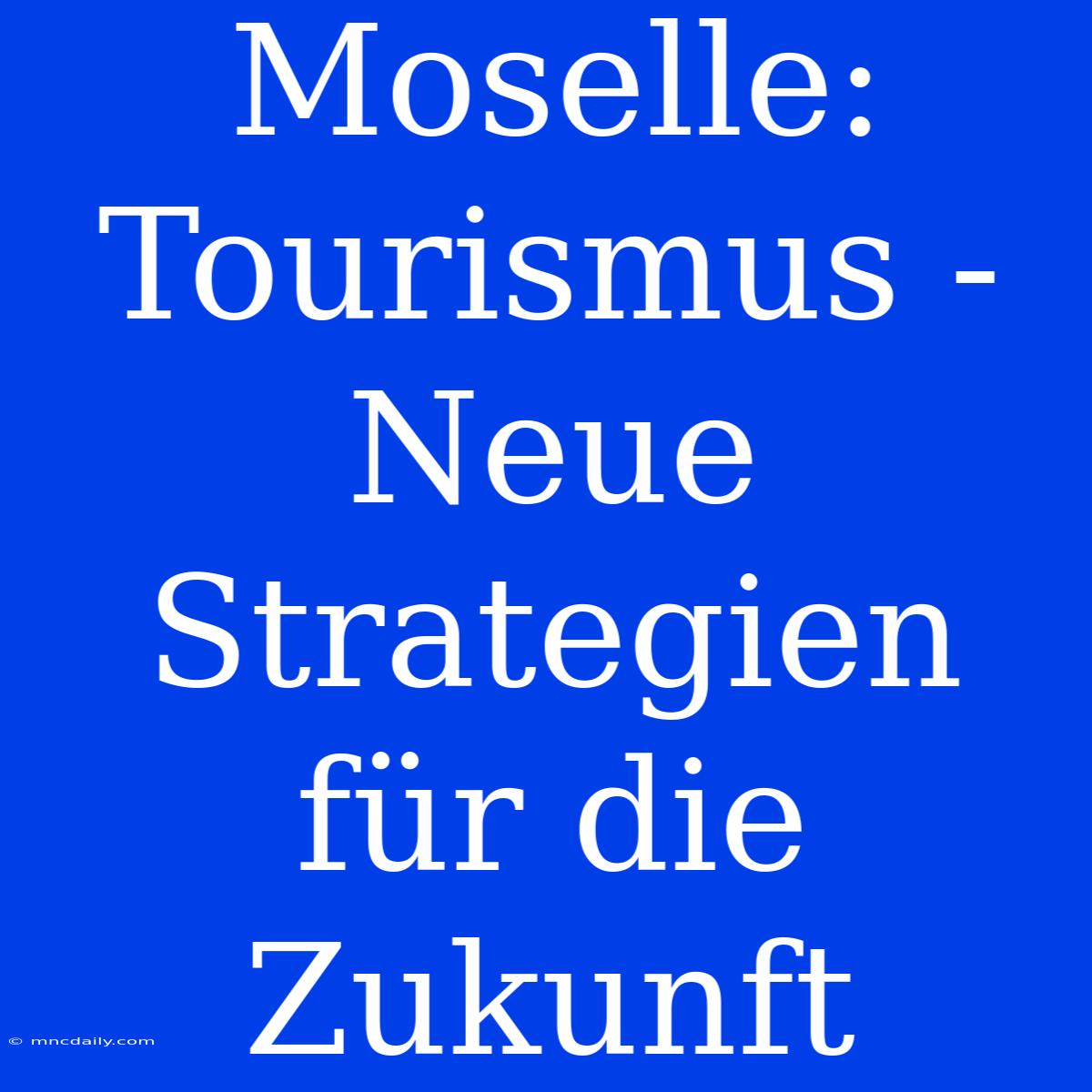 Moselle: Tourismus -  Neue Strategien Für Die Zukunft