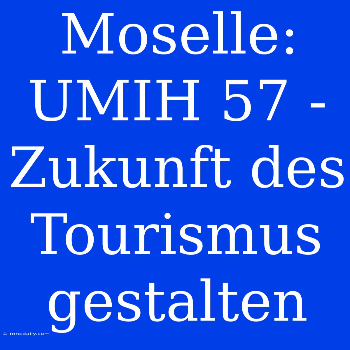 Moselle: UMIH 57 -  Zukunft Des Tourismus Gestalten 