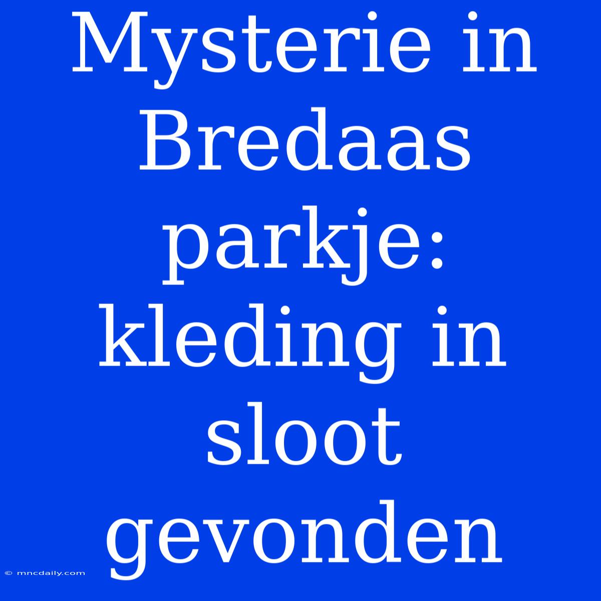 Mysterie In Bredaas Parkje: Kleding In Sloot Gevonden