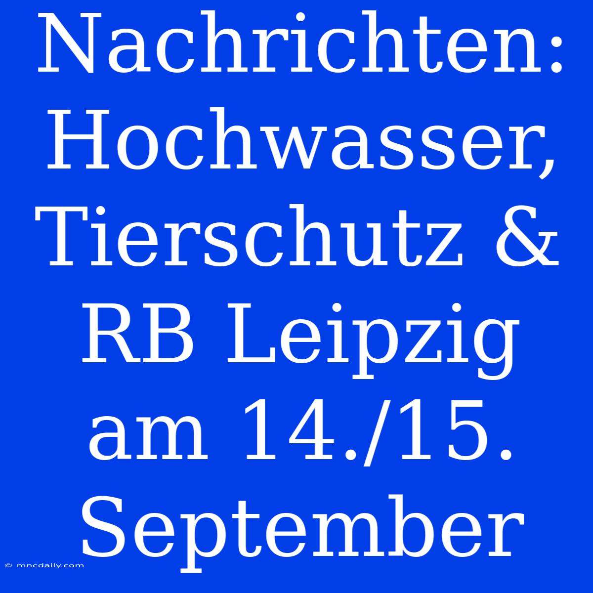 Nachrichten: Hochwasser, Tierschutz & RB Leipzig Am 14./15. September