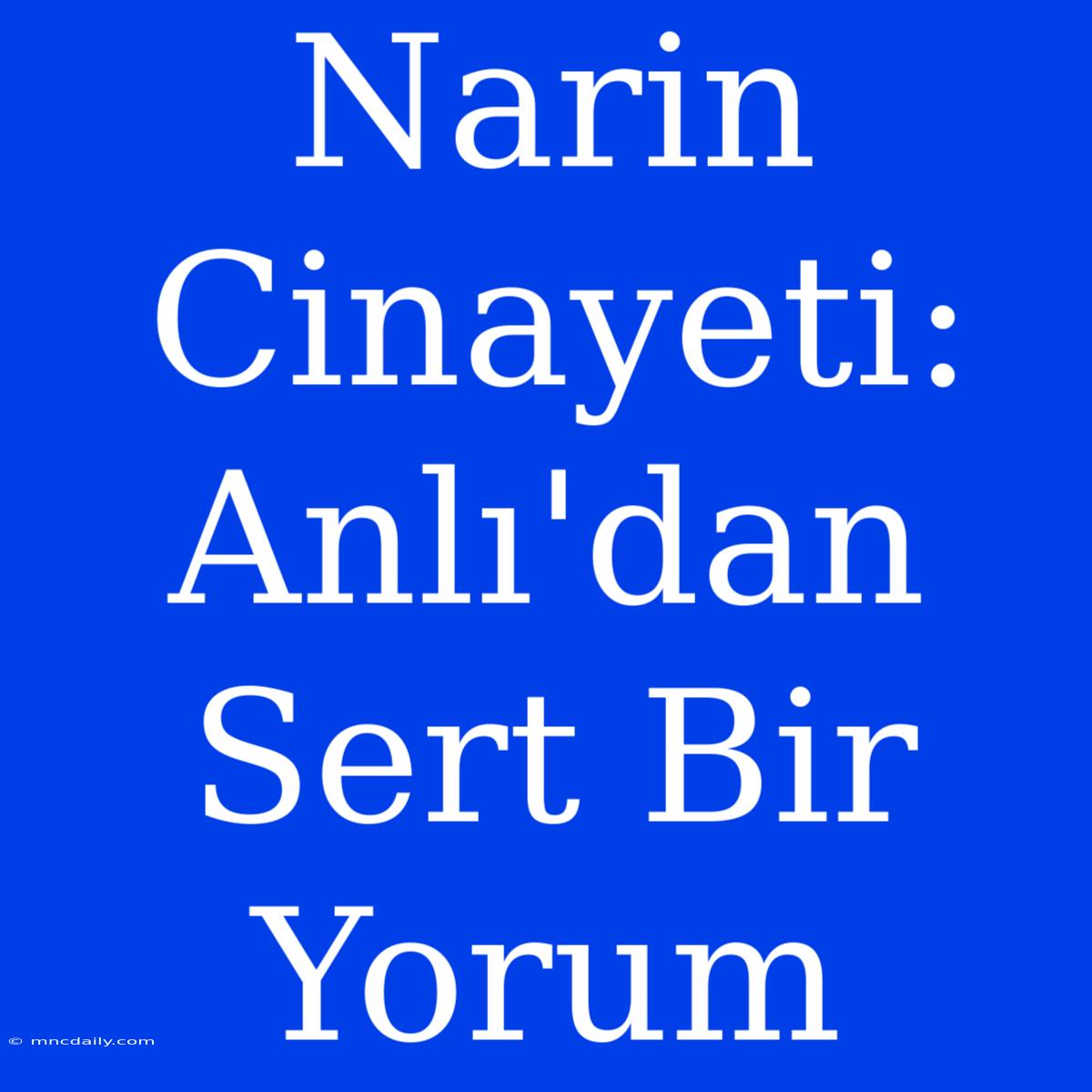 Narin Cinayeti: Anlı'dan Sert Bir Yorum