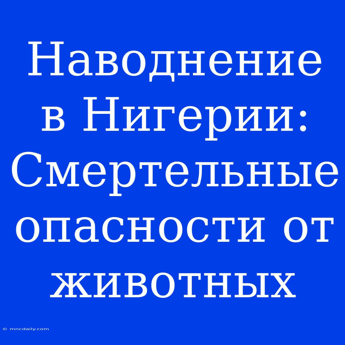 Наводнение В Нигерии: Смертельные Опасности От Животных