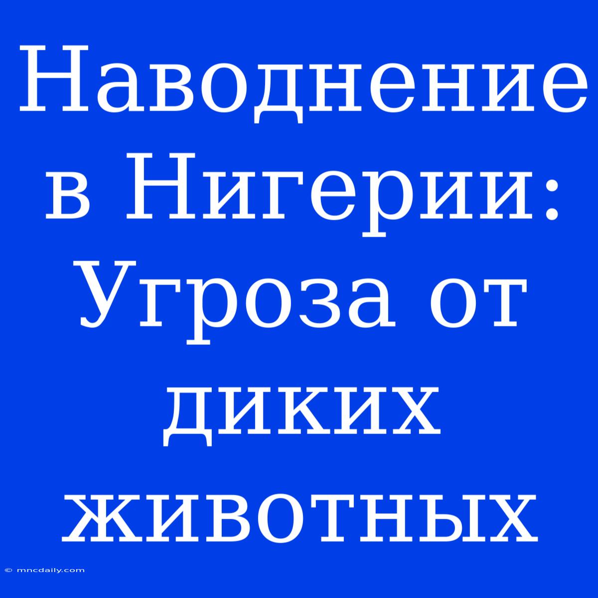 Наводнение В Нигерии: Угроза От Диких Животных