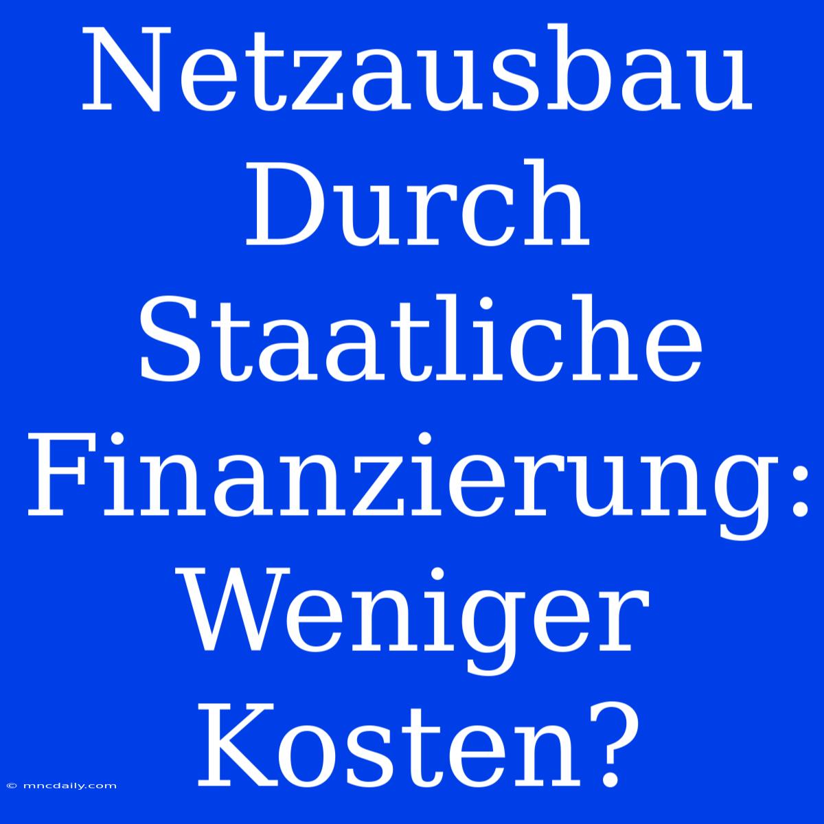 Netzausbau Durch Staatliche Finanzierung: Weniger Kosten?