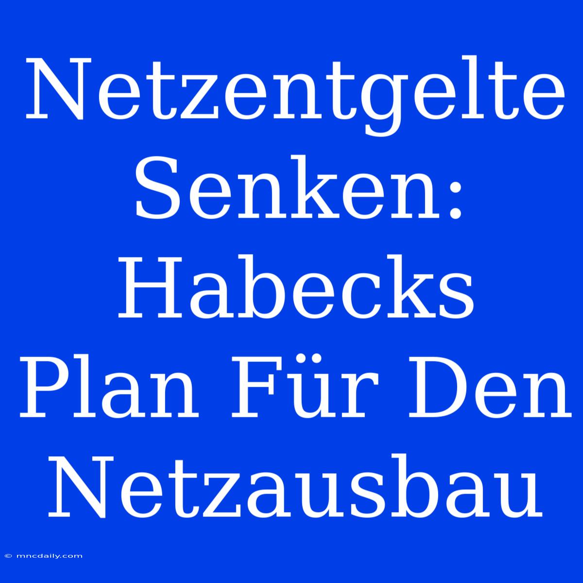 Netzentgelte Senken: Habecks Plan Für Den Netzausbau