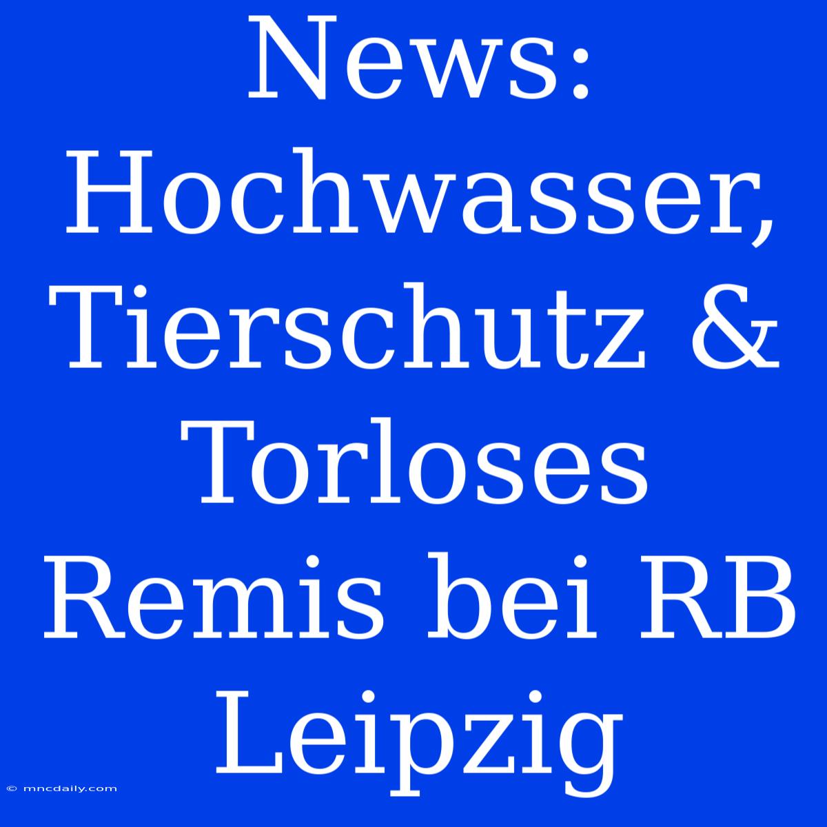 News: Hochwasser, Tierschutz & Torloses Remis Bei RB Leipzig